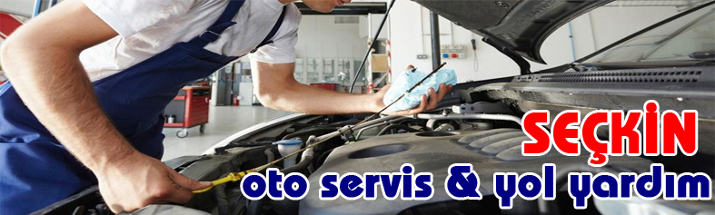 http://www.seckinoto-servis.com/1e.jpg